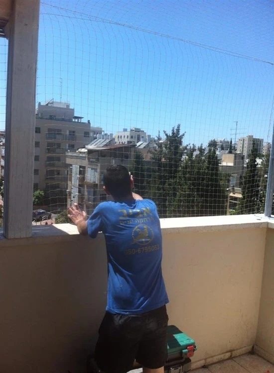 רשת נגד יונים